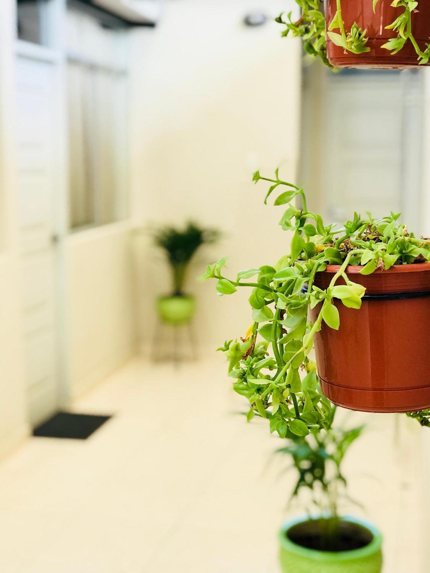 Garden House Piura Apartment Exterior photo